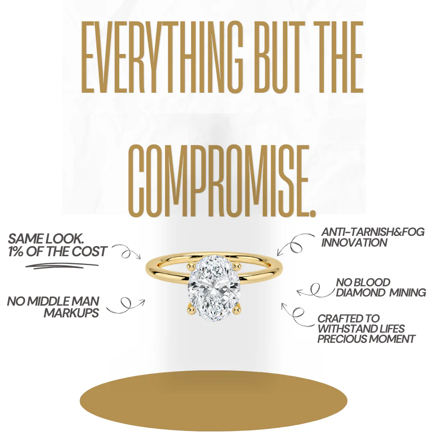 Daylight Lumière - Image 3